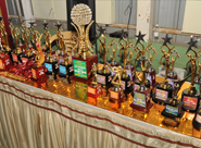 Sindhi Federation Of South India